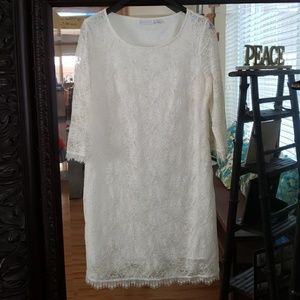 New York & Company Lace A Line Dress.
